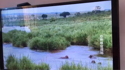 评价揭秘海信HZ43E35A与长虹43D5S哪款好用？？使用差别大不大