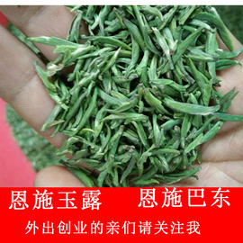 恩施玉露茶 富硒茶 湖北恩施巴东特产茶叶 绿茶 农家茶园