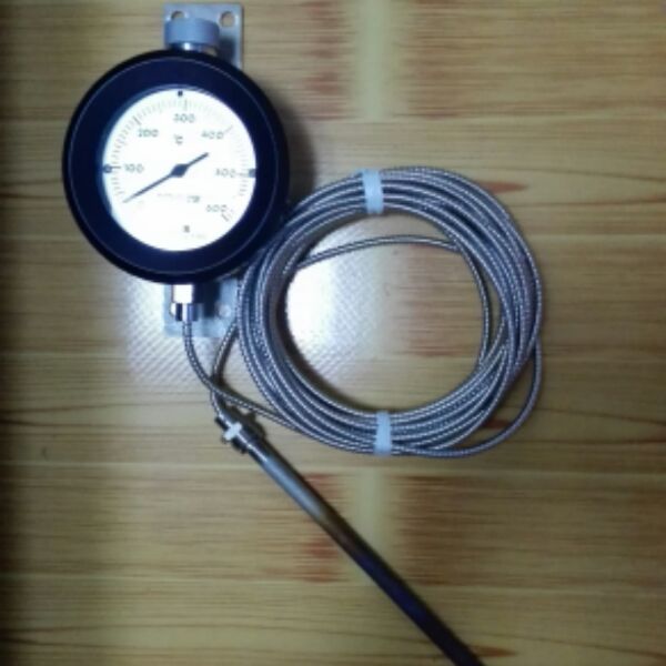 议价NESS表盘式温度表0～600℃ TUL-HSP-S 049003-01-K001长度9米