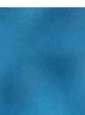 议价WP1M-18R3PT 实物图