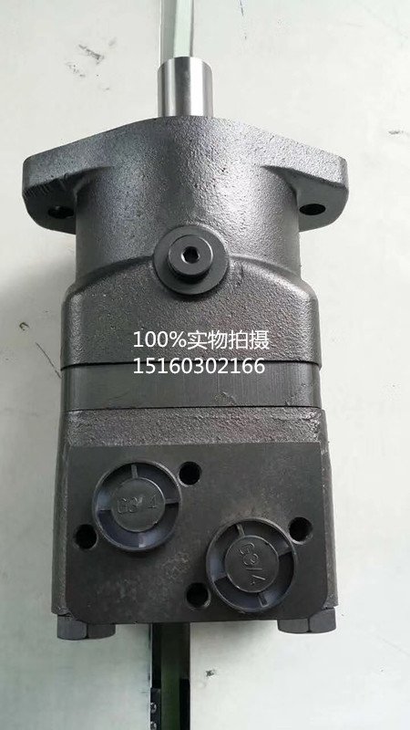 罐车混凝土搅拌车泵车 6方线方车T8液压马达 BM摆R50-200/250