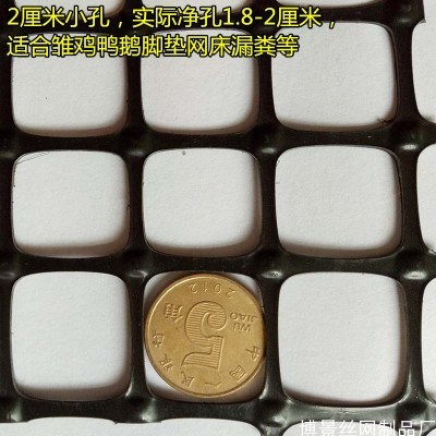 新品新新料塑料网养h殖网格栅A网拦鸡鸭护栏网隔离网围栏网脚垫漏