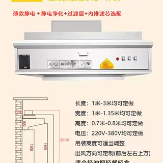 新品商用油烟净化一体机饭店厨房抽D排油烟净化器一体烟罩环保无