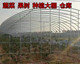 钢管大棚a骨架蔬菜果树农用种植仓库专用架子温室棚椭圆管棚架定