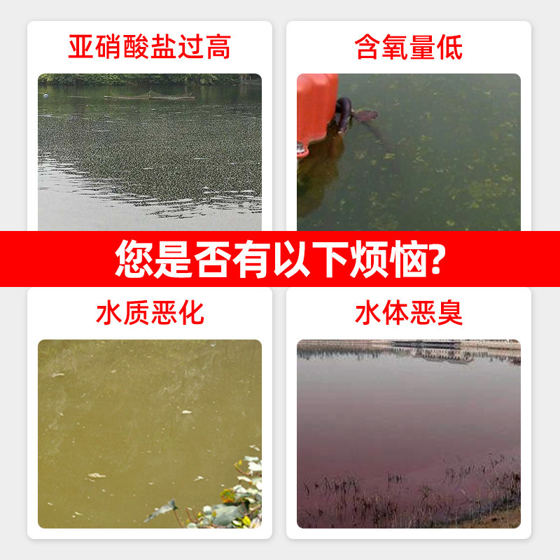 亚硝速净水产养殖l降解亚硝酸盐净化水质亚硝克星鱼塘亚硝改底调