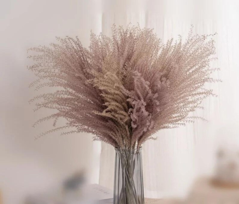 天然葦の花ドライフラワーリード乾燥小麦穂ドライフラワーアワ O 葦の花の装飾装飾小道具