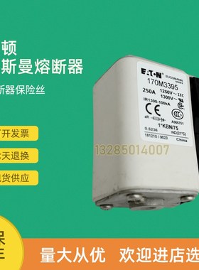 全新快速熔断器保险170M3366  170M3367 170M3368 170M3369