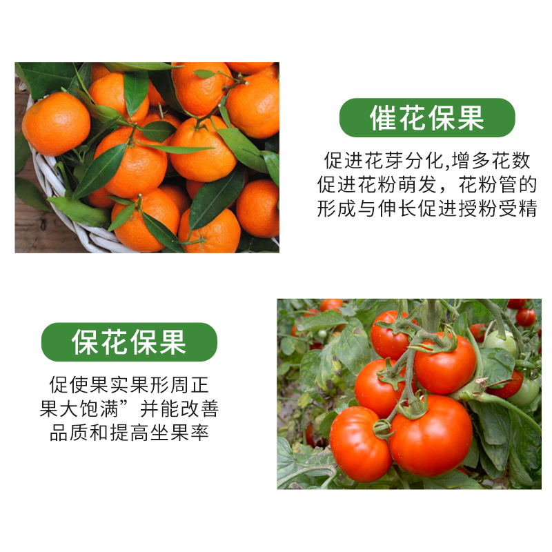 速发流体硼肥叶面肥糖醇硼液体硼保花保果防落果硼肥农用促花硼果