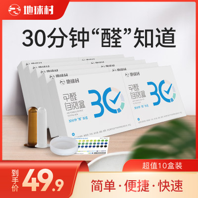 地球村甲醛检测仪甲醛测试仪器专业家用检测盒室内测试盒试纸10盒