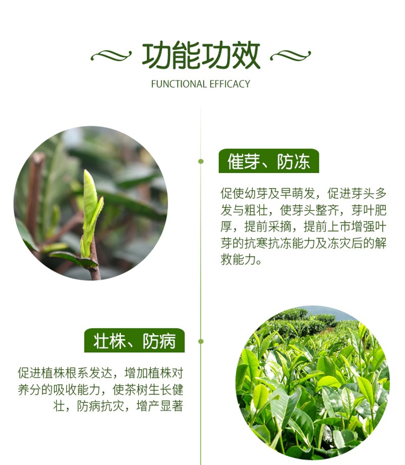 茶叶专溶催芽剂壮芽素高钙促长剂生水H素催芽防冻长用肥料叶面肥 农用物资 叶面肥 原图主图