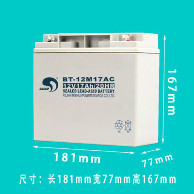 赛特蓄电池BT-12M24AT海湾泰和消防主机HSE12V17AH20AH38AH65安时