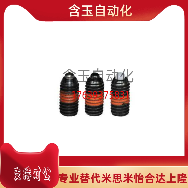 ZAP10-M10/M12/M16-H5/H10/H15/H20/H30/H40定位柱 弹簧柱塞ZAP11