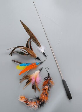 2019 Cat Toy Feather Teaser Wand Flexible Exercise Teaser Pe