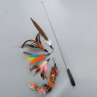 2019 Cat Toy Feather Teaser Wand Flexible Exercise Teaser Pe