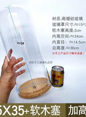 软木塞加高玻璃罩瓶玫瑰干花竹底收纳摆件diy玻璃花瓶试管瓶