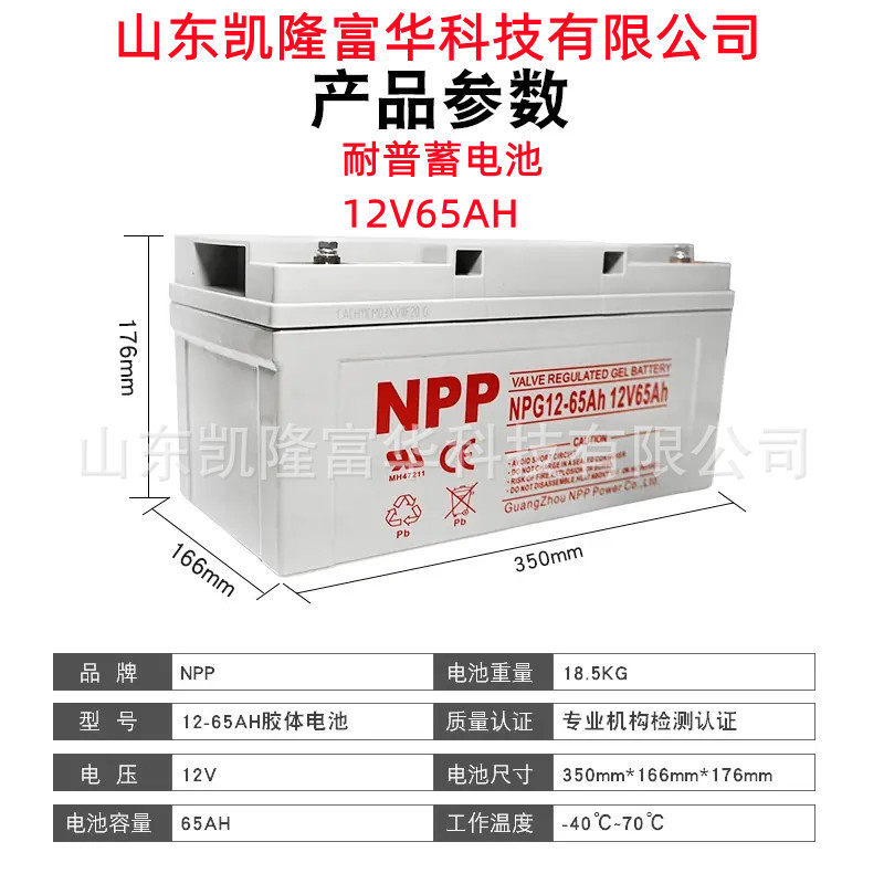 NPP耐普电池12v65ah免维护胶体电瓶NPG12-65光伏发电储能用蓄电池
