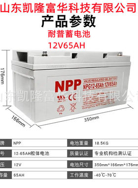 NPP耐普电池12v65ah免维护胶体电瓶NPG12-65光伏发电储能用蓄电池