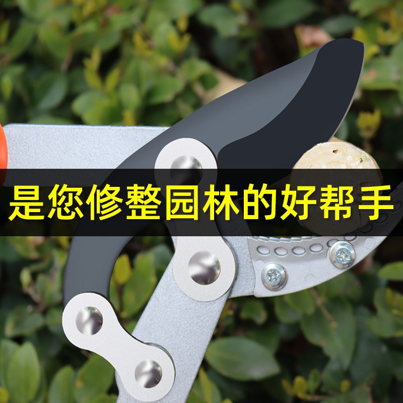 园林粗枝剪果树修枝剪刀树枝大力园艺修剪工具绿化花卉修剪刀