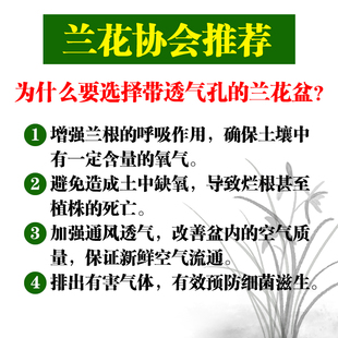 兰花花盆塑料大号特大专用盆兰花盆塑料兰花专用花盆加厚加高透气