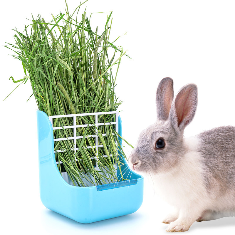 p5f7【穗子大】一级烘干提摩西500g岷县北提兔子龙猫荷兰猪主牧草