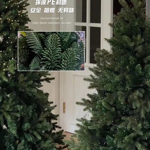 饰ins风diy摆件2024新款 圣诞树家用大型仿真加密圣诞节场景装 套餐