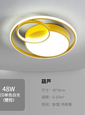 简约现代卧室灯北欧婚房创意个性网红温馨浪漫书R房黑白led吸顶灯