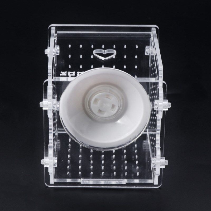 Acrylic Aquarium Fish Breeding Isolation Box Fish Tank Incub