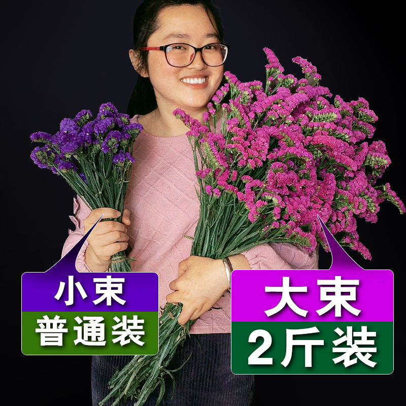 云南天然风勿忘我干花花束真花装饰摆件客厅小大插花论斤卖满天星