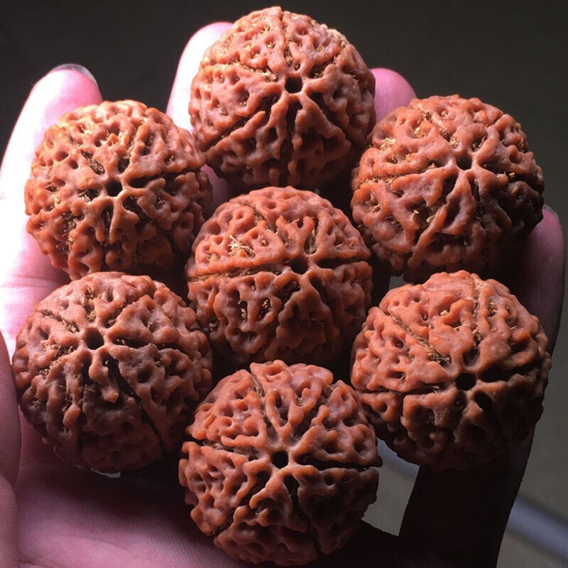 现货尼泊尔满肉大金刚菩提子红皮矮D桩原籽手串六七八九瓣散珠佛