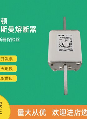 全新快速熔断器保险170M5695 170M5696 170M5697 170M5698