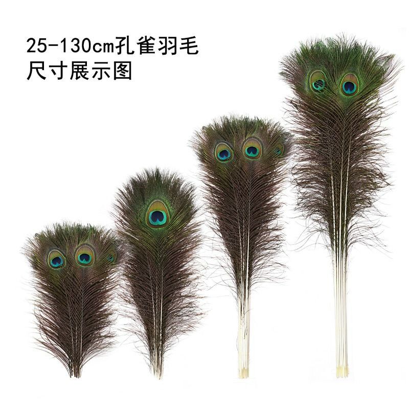 天然真孔雀羽毛客厅摆件落地摆件插花瓶工艺品插花装饰