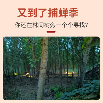 抓知了猴诱蝉神器捕金蝉户外诱蝉捕捉器黑蝉爬抓蝉专用.优质诱蝉