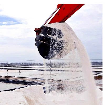 精致工业盐氯化钠水处理锅炉v软水盐日晒粗盐除冰融雪剂50公斤细