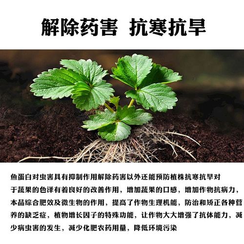 高浓缩海藻鱼蛋白有机水溶肥膨果生根壮苗氨基酸玉米大豆专用肥料