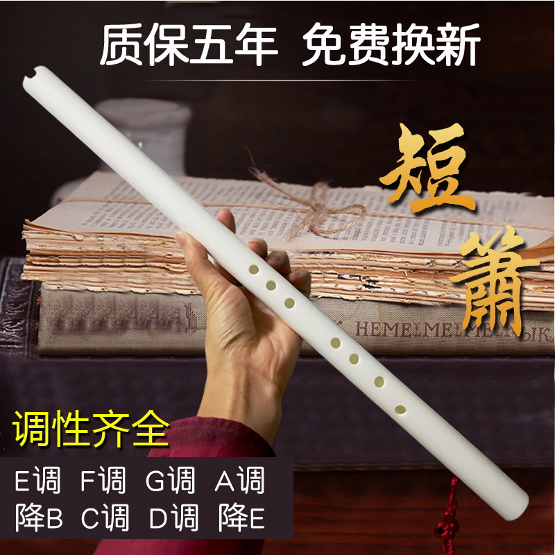 洞箫 乐器初学 入门三节八孔萧 防裂六孔反手A调降B调E调C调短萧