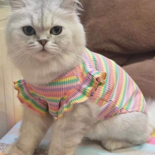 新款 彩条情侣狗狗衣服春秋款 猫咪宠物博美比熊泰迪衣服小型犬薄款