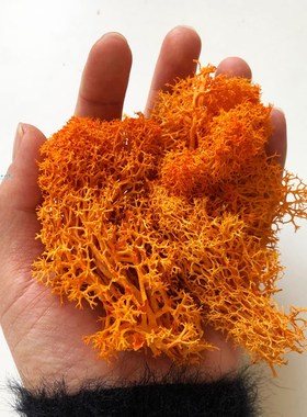 30G Lichen Moss cluster for bushes,model trees foliage scale