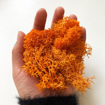 30G Lichen Moss cluster for bushes,model trees foliage scale