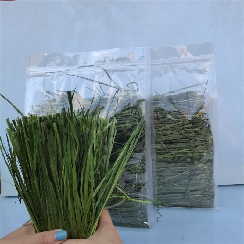 2021新草包邮 优质烘干提摩西草250g 南提兔子草粮Y牧草饲料干草