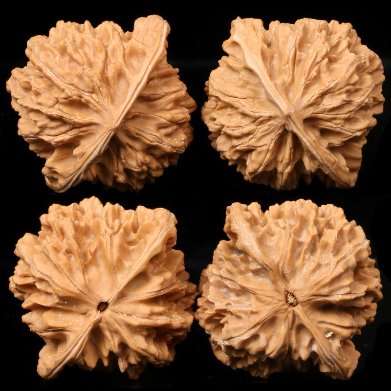 速发文玩核桃龙纹官帽核桃王勇四座楼苹果圆白狮子头麒麟纹盘玩手