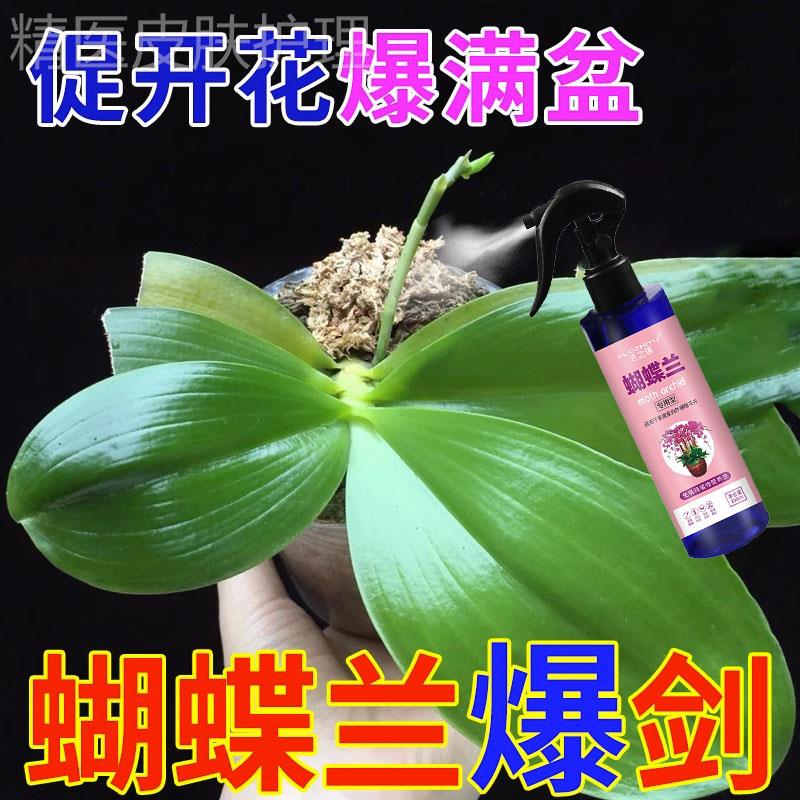 推荐蝴蝶兰专用营养液兰花肥料优芽素快速生根粉爆芽剂催芽生根开