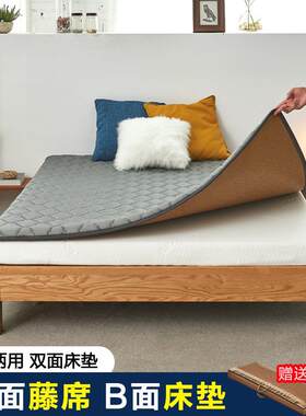 新款冬夏两用床垫宿舍两面用凉席硬垫榻榻米床垫子1.8x2.0米四季
