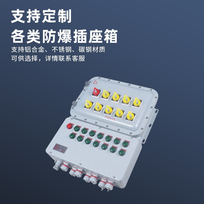 防爆仪表箱 防爆接线箱IIrB IIC Extb 防爆检修箱BXS51防爆控制箱
