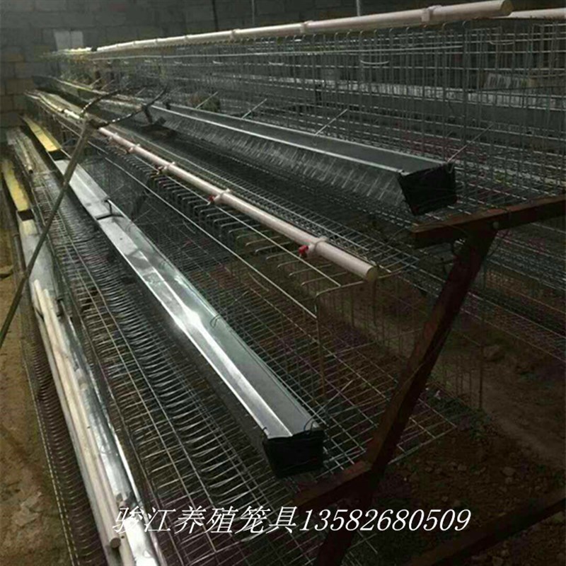 养殖场家用专业阶梯式自动优质蛋鸡笼养鸡设备全套兔笼家禽养殖笼