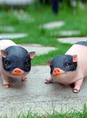 件猪招财聚财摆件小猪猪十二瓷猪摆黑色黑猪陶瓷12生肖