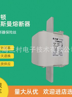 全新原装快速熔断器保险丝170M6811D 170M6812D 170M6813D 6811