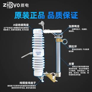 西熔10KV高压 跌落式 熔断器户外保险令克开关RW12 200 推荐 100