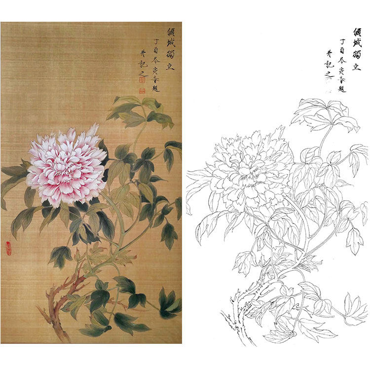 画白描稿底牡丹楚彦春q线古风花鸟勾复实物打印稿尺寸可选cy