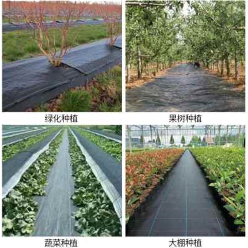 厂销防草布除草布抗老化果园果树遮草布农用园艺盖草地布耐用透气