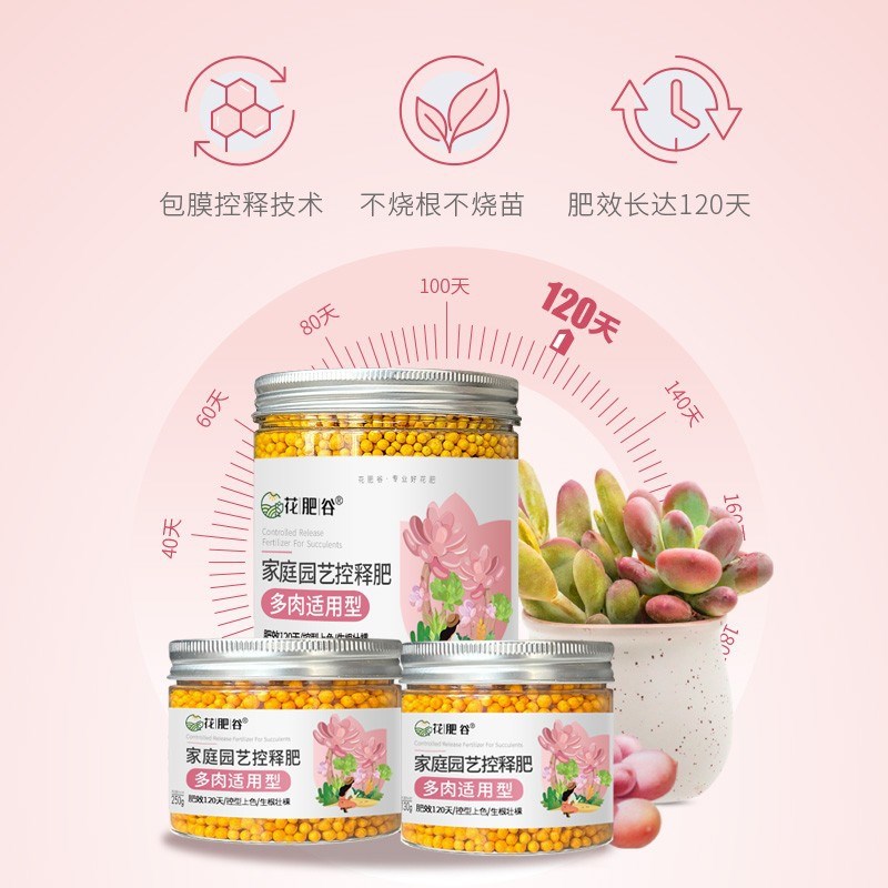 拍2发5花h肥谷多肉专用控释肥爆仔上色控型肥料